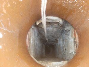 The Removal, honey-bee-removal-baltray-co-louth-chimney