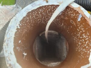 The Removal, honey-bee-removal-baltray-co-louth-chimney