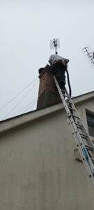 The Removal, Honey Bee Removal Baltray